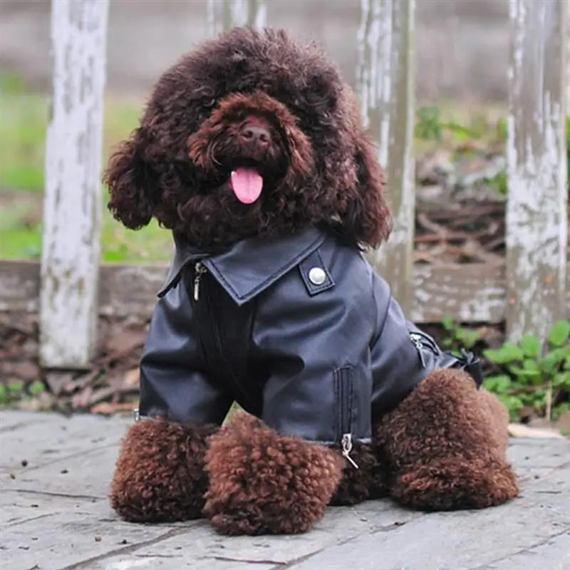 Dog Outdoor Vest