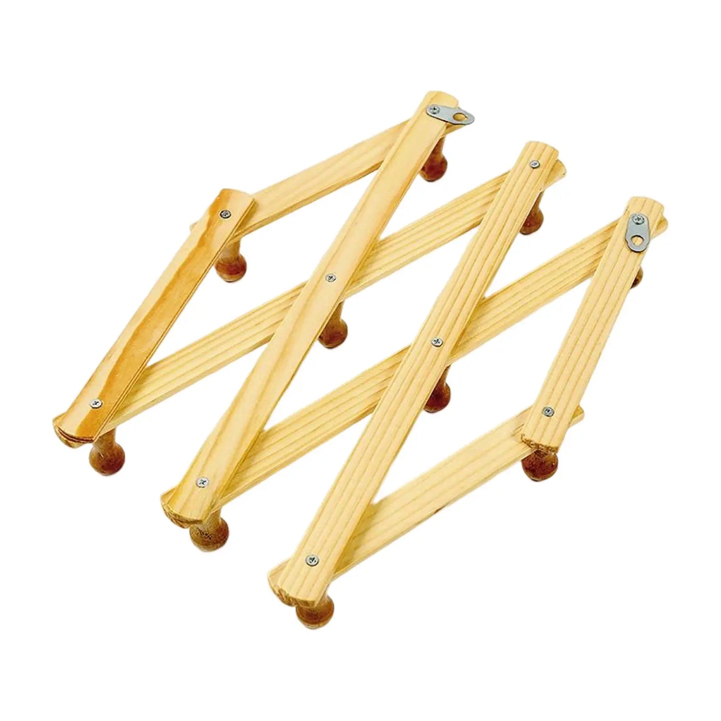 10 Hooks Wall Hanger