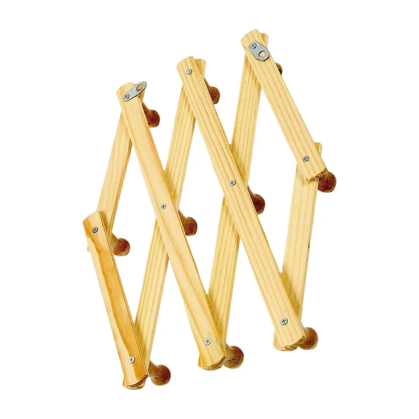 10 Hooks Wall Hanger